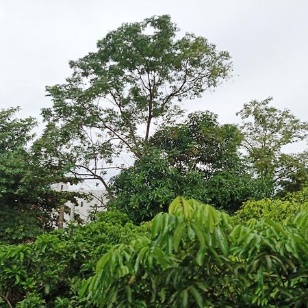 Green Space Homestay Ninh Binh Dış mekan fotoğraf