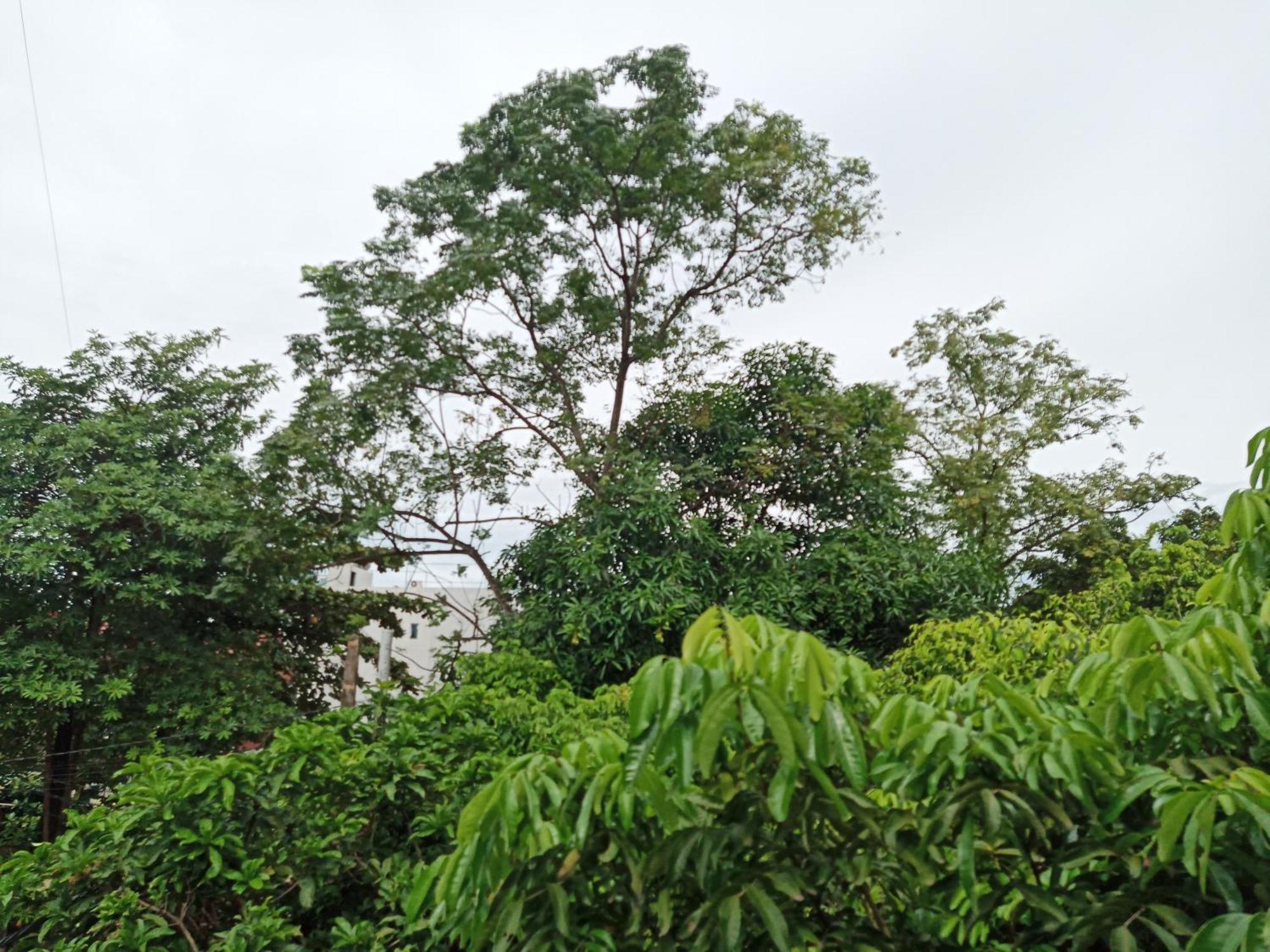 Green Space Homestay Ninh Binh Dış mekan fotoğraf