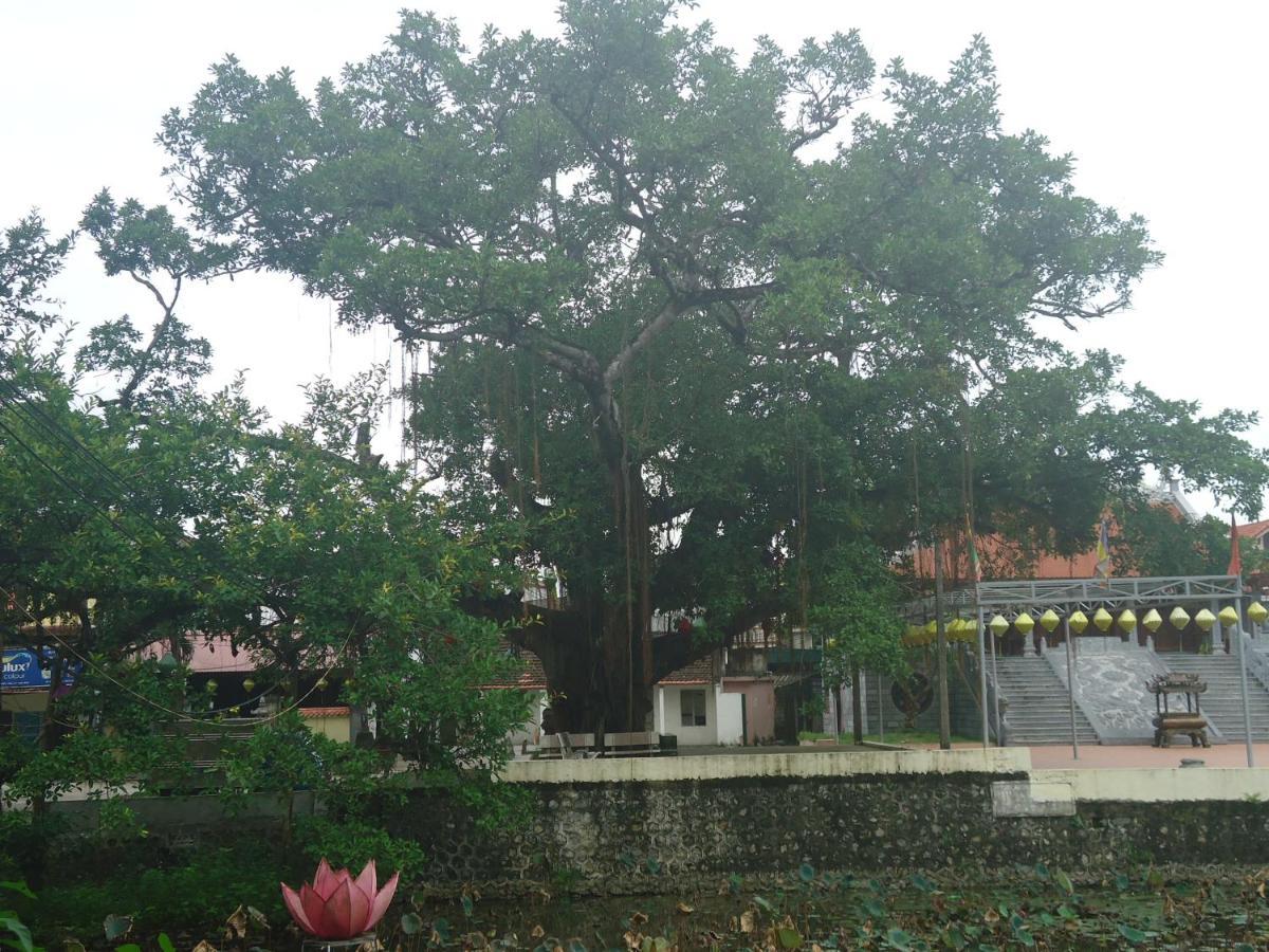 Green Space Homestay Ninh Binh Dış mekan fotoğraf