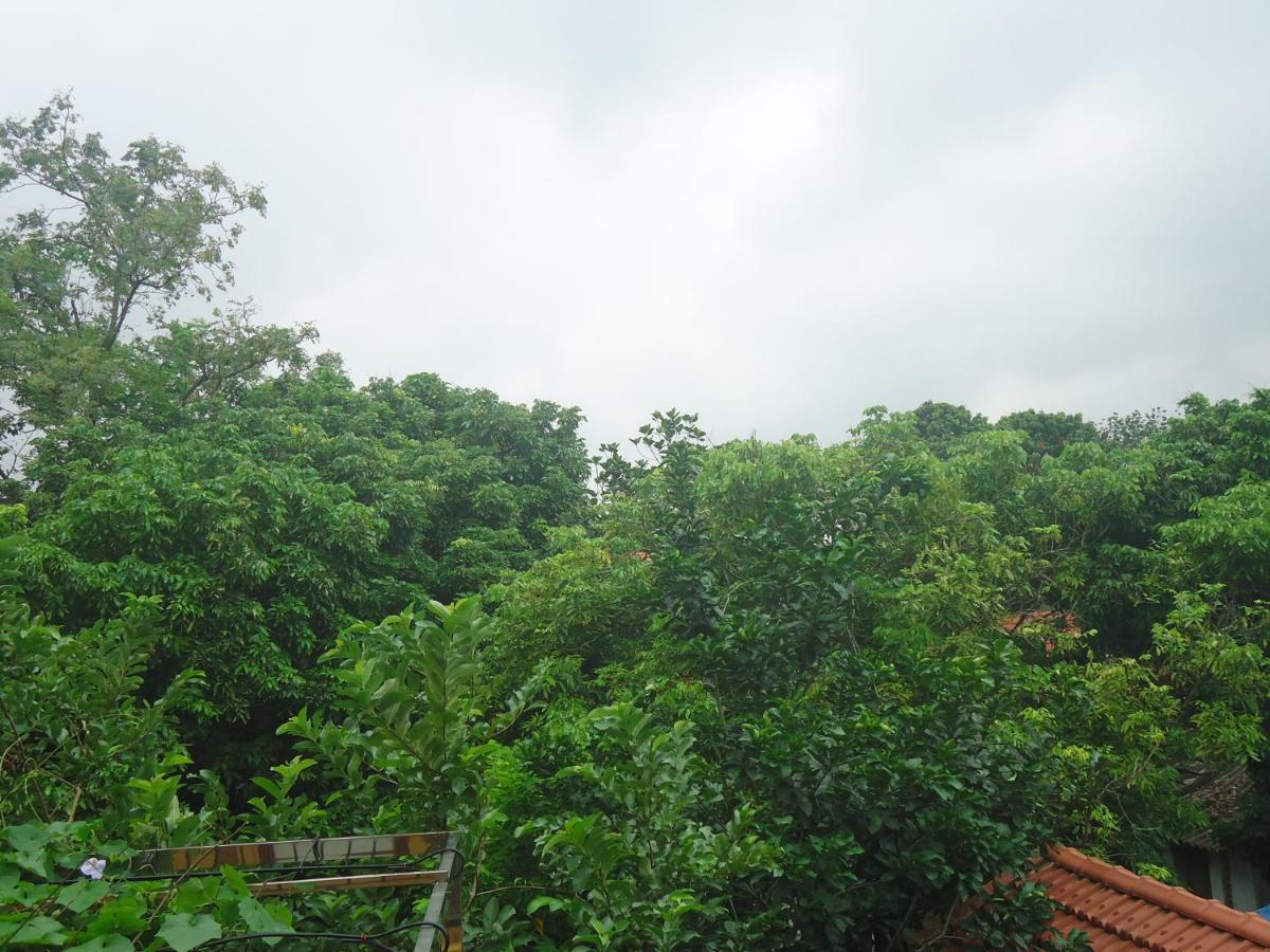 Green Space Homestay Ninh Binh Dış mekan fotoğraf