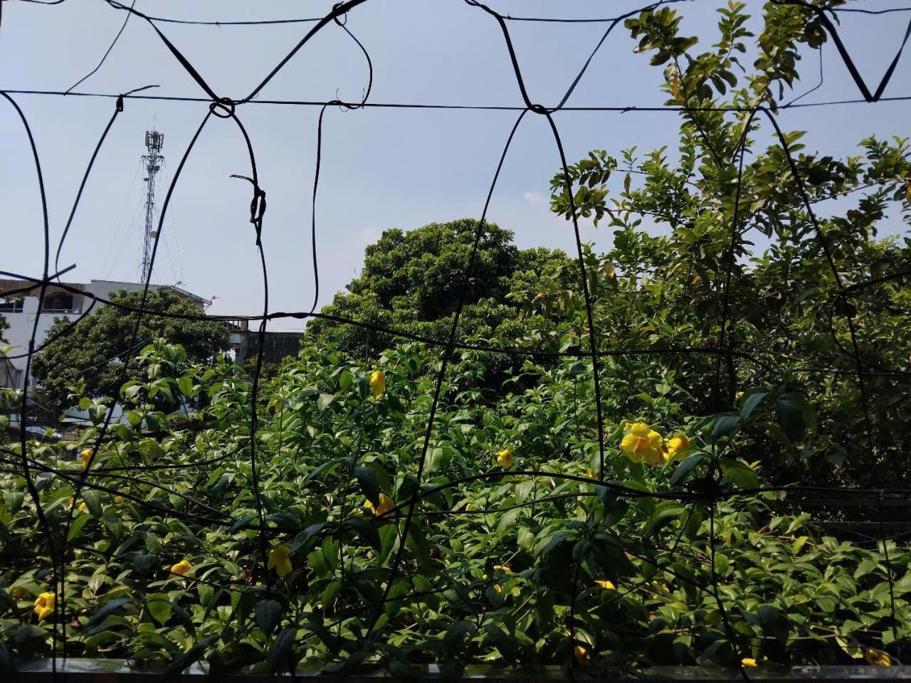 Green Space Homestay Ninh Binh Dış mekan fotoğraf